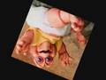 IM DA BBY - JOE GARRISON PRODUKTIONZ