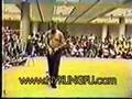 Chan Tai-San's Choy Lay Fut 3-Section Whip - Kung-Fu Demo