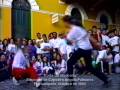 Ver Video