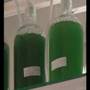SPIRULINA FARM VISIT IN THAILAND .