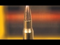 Cartridge Hall of Fame - 30-06 Springfield