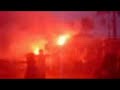 OSFP THYRA 7 8-2-1981 ADERFIA ZEITE ESEIS MAS ODHGEITE