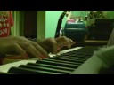 numb piano
