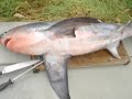 Big Fish caught on kayak by johnny ceviche
