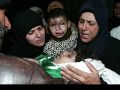 Gaza - Have You Heard  (Zain Bhikha)