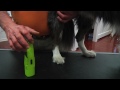 Video Screenshot