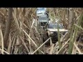 the sunady driver- f350 & Toyota Hilux