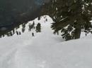 Mt Bishop:Sliding with the Hosers !