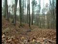 videos de DH w wykonaniu Marysi