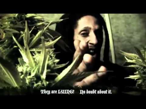 Marley - Un clip bio... Peace from France, and good vibes... Thanks everbody for your comments.