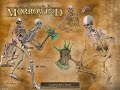 Lets Interactively Play Morrowind Part 143: More House Redoran (part 1 of 4)