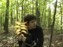 Into the Wild.wmv