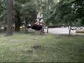dido`s gainer