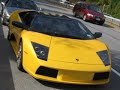 FALL EXOTIC RUN- NY
