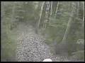DRZ trail ride with DR650