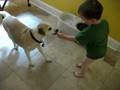 Ethan Feeding Jack