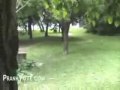 Hilarious prank on a date