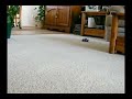 Team Losi 1/36 scale Micro-T First Run