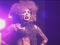 Bambi Slut Sprung Bambi Slut Sprung