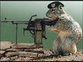 Kill A Kitten