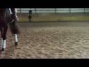 1st week of halfpass training