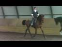 1st week of halfpass training