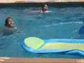 Jump on the Dolphin! 3 