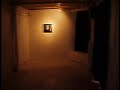 Terhi Silenius exhibition