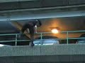 A few videos captured at our usual Parkour Jam in Lincoln. Features Jak, Jammie, Stuart, Ryan, Tumo, Jonny and Marcus.
