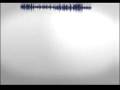 videos de osb2VP6_1Mbps.flv
