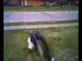backflip