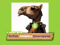 Stars Align for Oxfam America Unwrapped