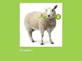 Stars Align for Oxfam America Unwrapped