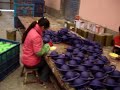 China Factory making vinyl dog toys
