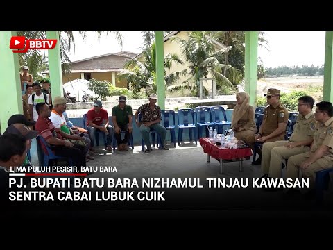 PJ BUPATI BATU BARA NIZHAMUL TINJAU KAWASAN SENTRA CABAI LUBUK CUIK