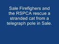 RSPA and Sale Firefighters in cat rescue