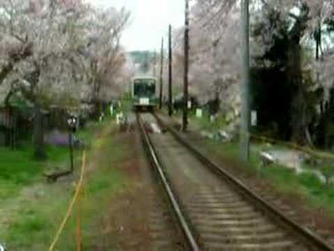 京福電車・桜トンネル