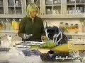 Cookie Monster and martha stewert cooking seame street