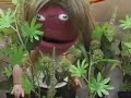 2626 Meet Greg part1 2626 Meet Greg part1