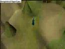 Travel Across RuneScape