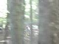 videos de ISDE