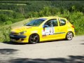 rallye osona 2008