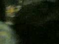 videos de duccio minaccia un barbone