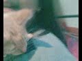 cute cat