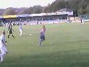 Stute V Ards