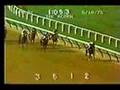 YouTube - Ruffian - 1975 Acorn Stakes