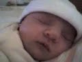 emilia brandoni sardo