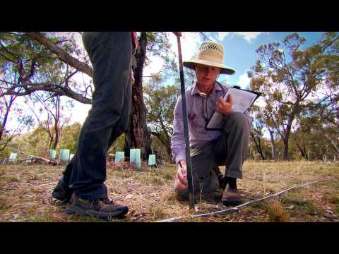 how to collect ecological data