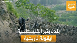 صباح العربية | بلدة بتير الفلسطينية.. أيقونة تاريخية ترجع إلى العصر الروماني القديم صباح العربية | بلدة بتير الفلسطينية.. أيقونة تاريخية ترجع إلى العصر الروماني القديم