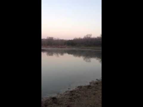 101.5 acres Trenton, TX